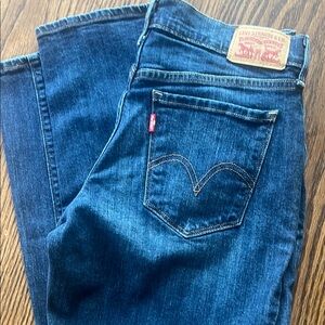 Levi's Dark Indigo Jeans